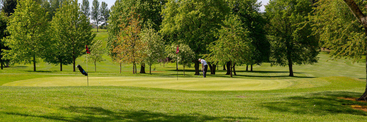 The Practice Chipping area