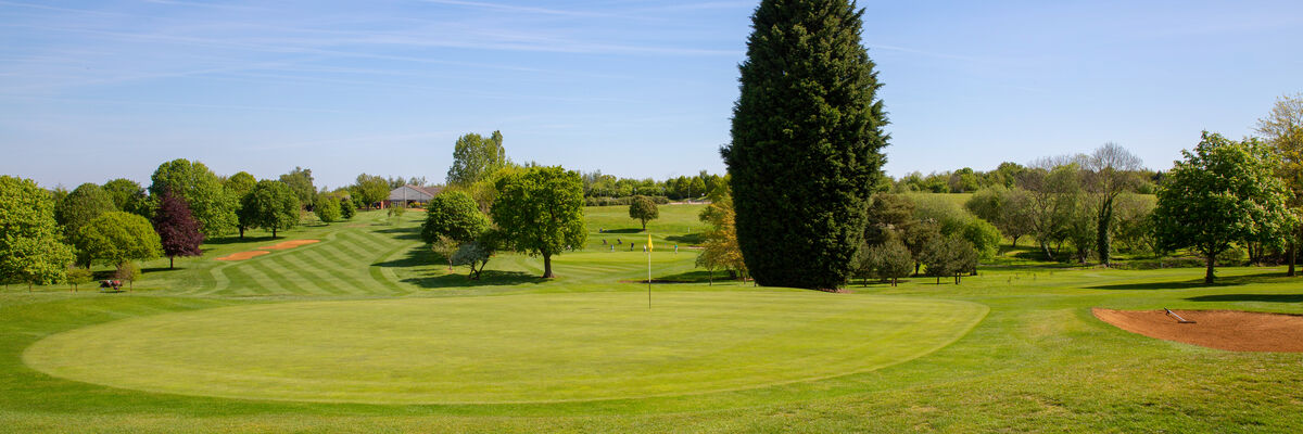 15th Green from the Tee